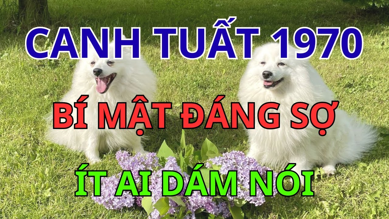 Canh Tuất 1970: Nghiệp Lực Hay Định Mệnh? Tiết Lộ Bí Mật Giúp Hóa Giải Nghịch Cảnh Ngay Lập Tức.