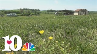 Karm Plans To Build Restoration Program In New Market, Leading To Concerns From Community