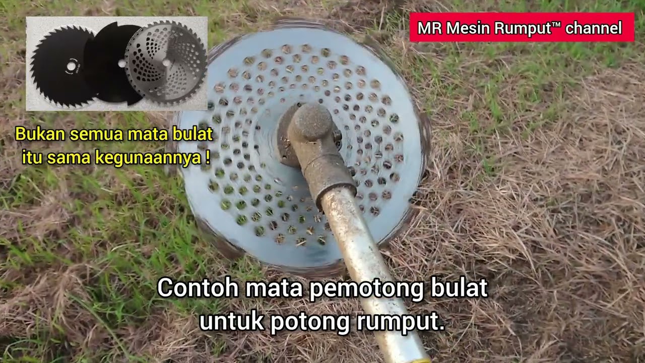 Mata pisau bulat mesin rumput untuk potong rumput ⁉️