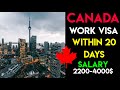 How to get canada work permit within 20 Days? || Hindi ||