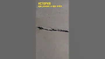 Пчёлы проникли в дом сквозь щель в полу.