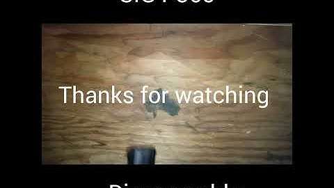 Sig 365  disassembly