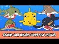 [EN] Sharks and whales meet sea animals let's enjoy together! sea animals names for kidsㅣCoCosToy