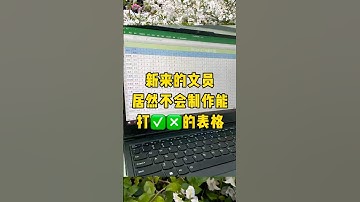 制作能打勾打叉的表格#每天学习一点点 #办公技巧 #职场 #干货分享 #excel