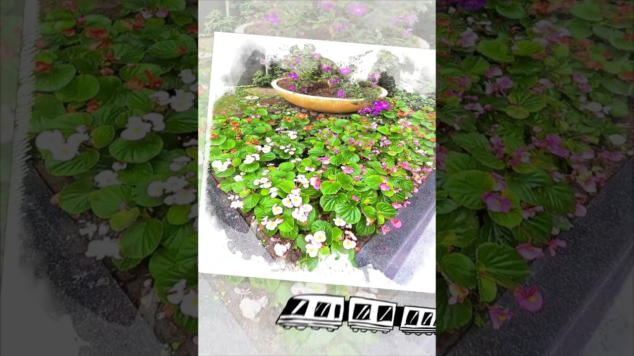 美麗世界，快樂生活