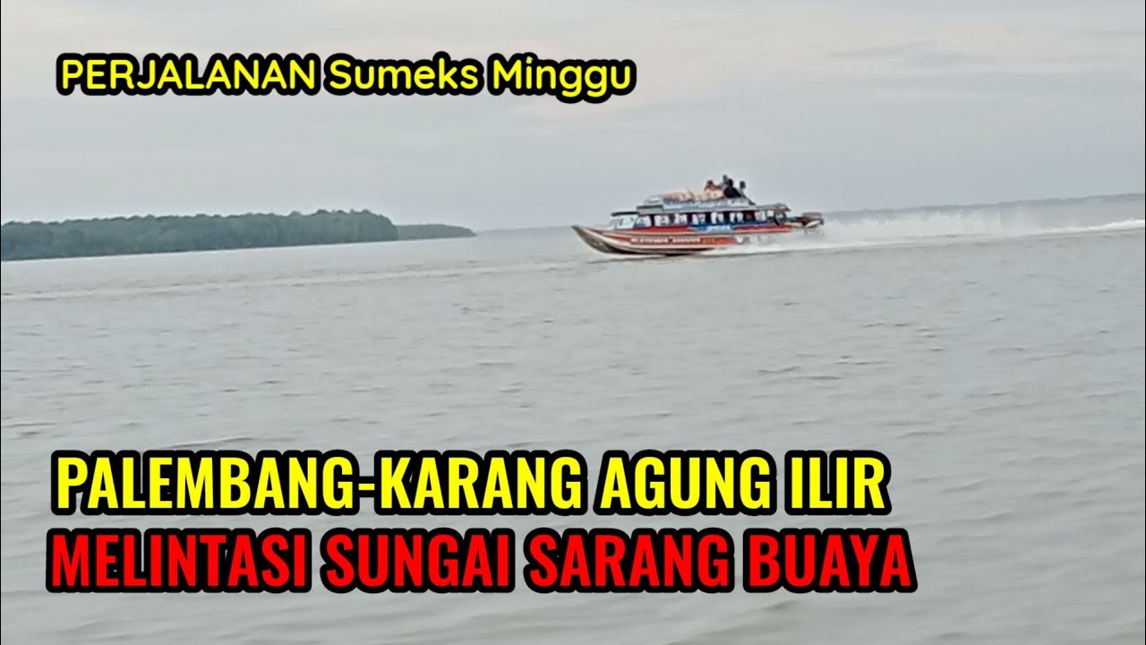 Speedboat Palembang-Karang Agung Ilir, Melintasi Sungai Sarang Buaya