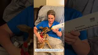Information #AnimalRescue #RescueJourney #HeartwarmingStories #SavingLives #MomentsOfHope #SpreadLove #Hope News
