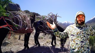Elk Shed Adventure with Donkeys