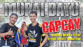 MURAI BATU CAPCAY RUNNER UP DI EVENT SRIKANDI CUP 3 MASTERPIECE ARENA