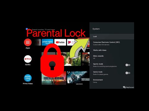 TCL TV LOCK settings.