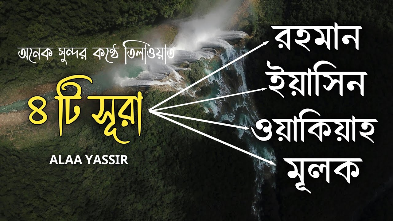 মন জুড়ানো কণ্ঠে সূরা ইয়াসিন - রহমান - ওয়াকিয়া - মূলক | Quran Tilawat \ by ALAA YASEER