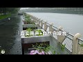 真实雨声催眠曲！河边真实下雨的声音，白噪音雨声助眠，自然真实雨声白噪音，深度睡眠