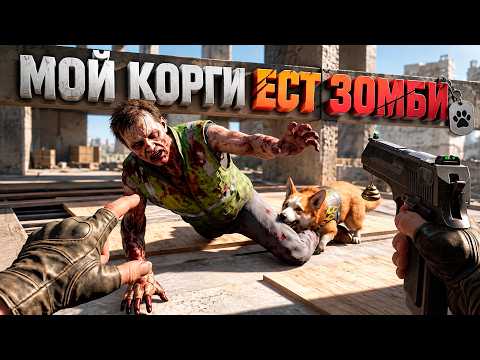 МОЙ КОРГИ ЕСТ ЗОМБИ В ВР ( Arizona Sunshine 2 VR )