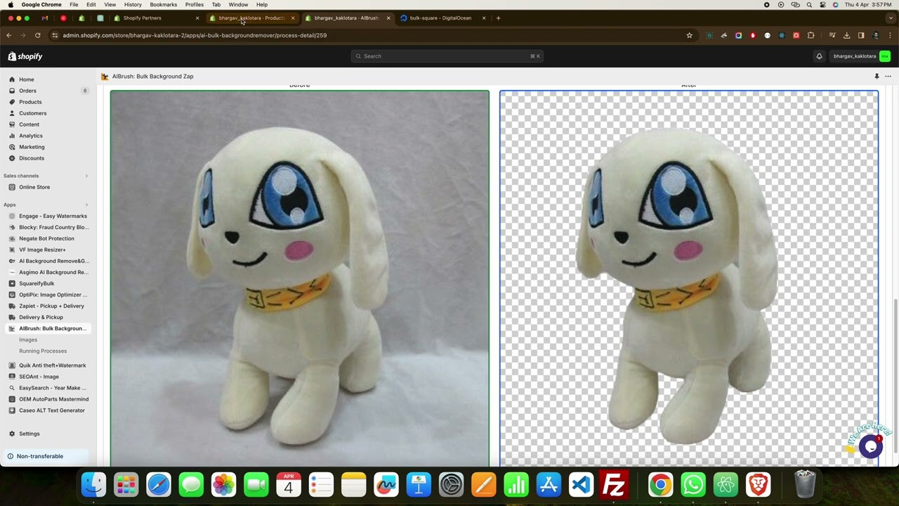 Remove Image Background In Bulk Using AI On your Shopify Store