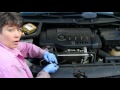 How to check the oil level on your car