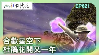【MIT台灣誌 #621】合歡星空下 杜鵑花開又一年_20140511