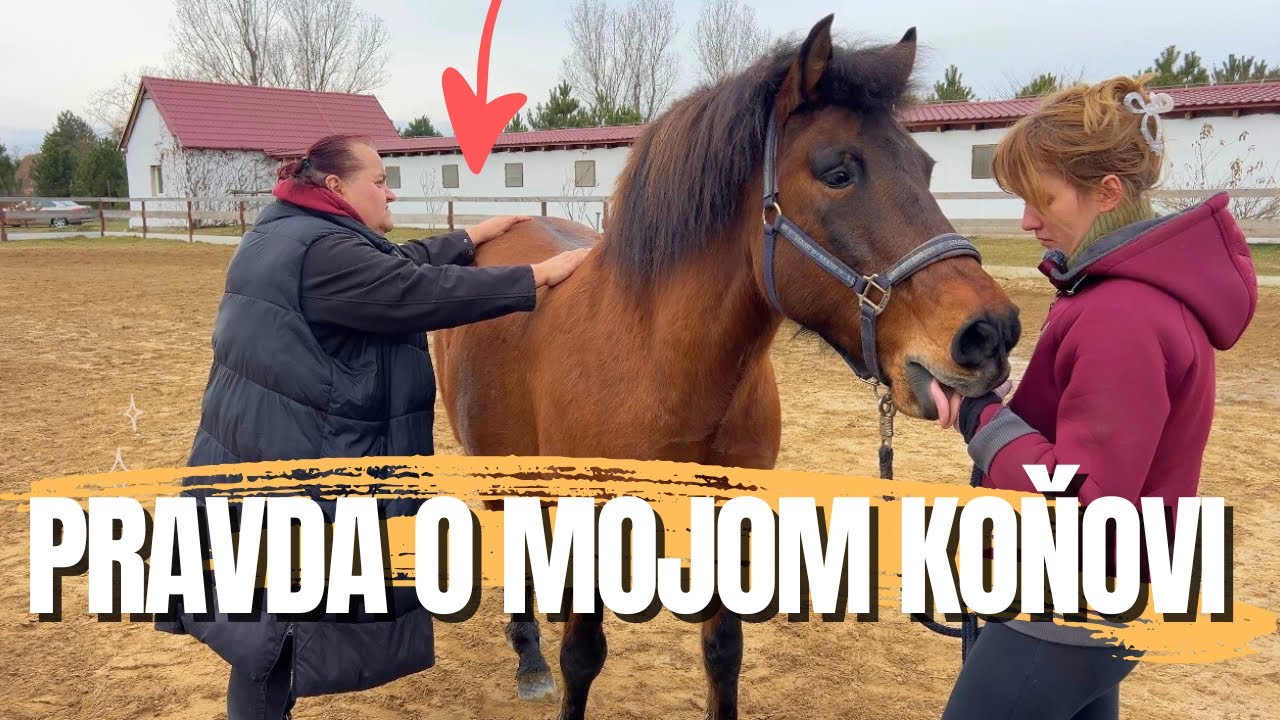 Robím pre svojho koňa dosť? Prišla fyzio a ukázala pravdu…