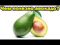 Чем полезно авокадо для организма человека?