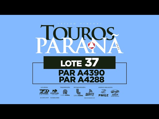 LOTE 37 PAR A4288 PAR A4390