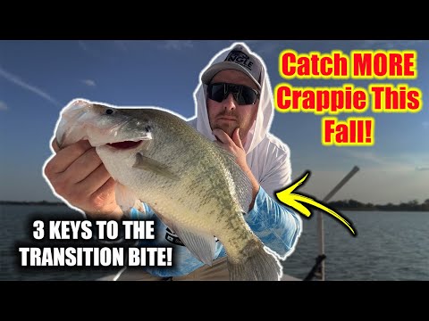 Catch More CRAPPIE This FALL!! | 3 Keys to the Transition Bite |