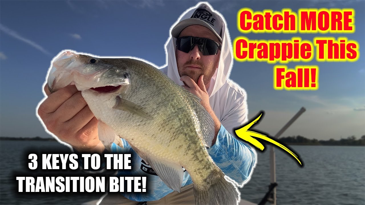 Поймайте больше КРАППИ этой ОСЕНЬЮ!! | 3 ключа к переходному клеву |