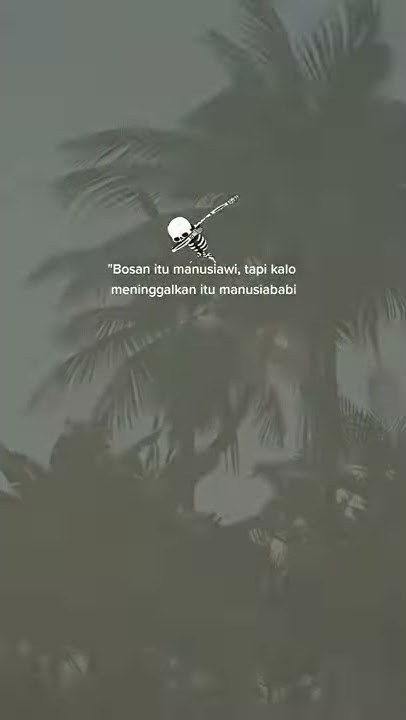 story wa santuy manusia babi
