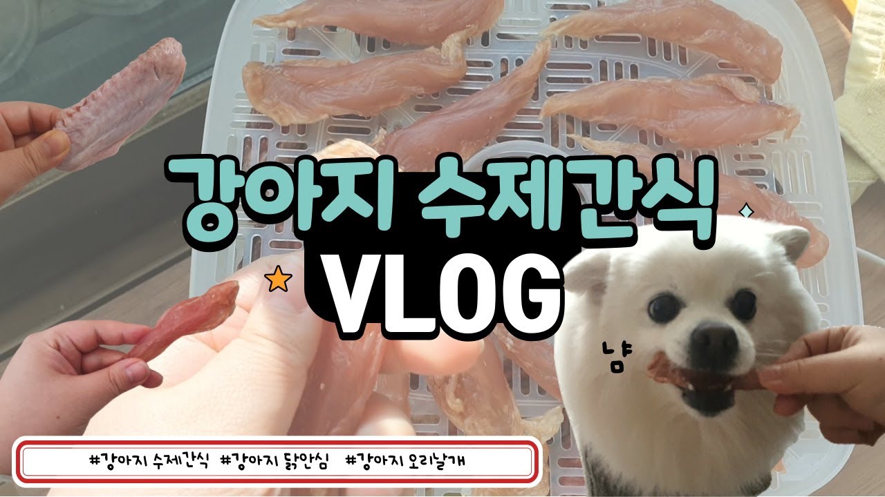 🦴강아지 수제간식 만들기 브이로그! 닭안심, 오리날개로 만들었어요🐶 |  강아지 수제간식 | 강아지 닭안심 | 강아지 수제간식 닭안심 | 강아지 오리날개 | 강아지 뼈간식