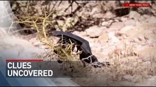 CLUES UNCOVERED: Black glove found near Nancy Guthrie's property