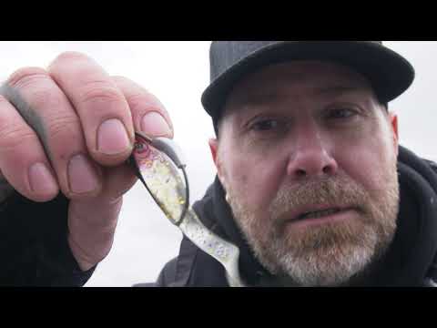 Abu Garcia Svartzonker McPerch Shad video