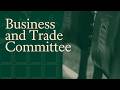 Artificial Intelligence, business and the future of the workforce - Business and Trade Committee