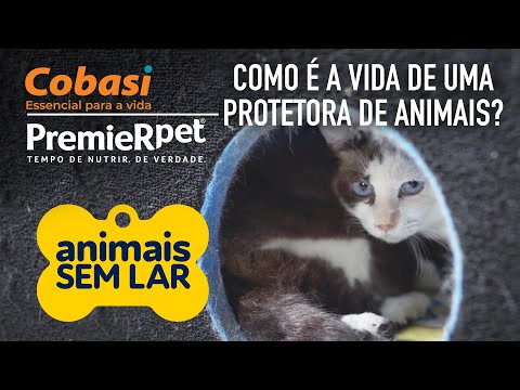 Animais Sem Lar, Assista. Proteção. Episódio 5