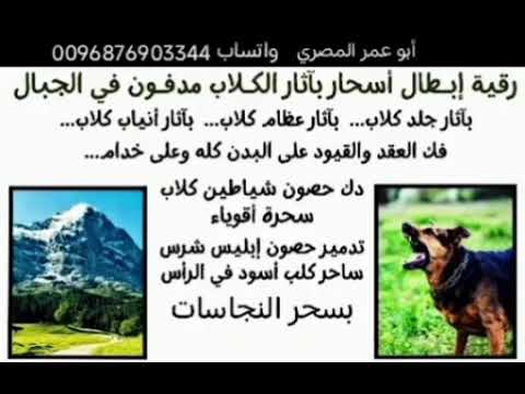 أقوي رقية لإبطال سحر الكلاب المرشوش والمدفون وفي البطون بدم وبول الكلاب والقطط بالدمار والمرض والسلب أقوي رقية لإبطال سحر الكلاب المرشوش والمدفون وفي البطون بدم وبول الكلاب والقطط بالدمار والمرض والسلب