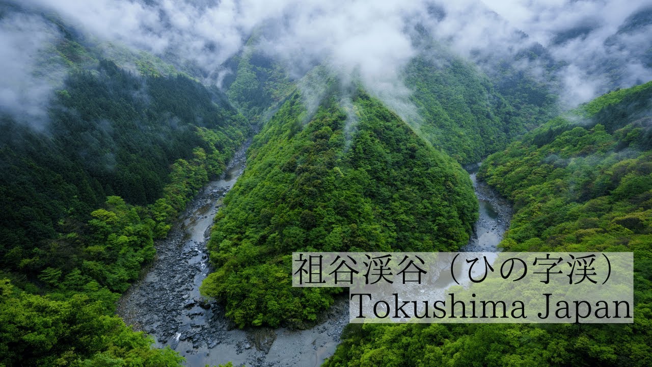 祖谷渓・小便小僧・ひの字渓谷 | 大歩危祖谷ナビ＜三好市公式観光サイト＞