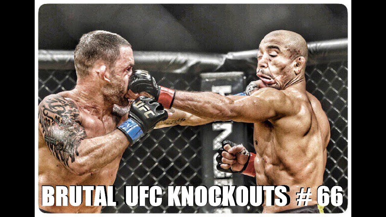 UFC KNOCKOUTS # 66 BELLATOR MMA [ Июль ]