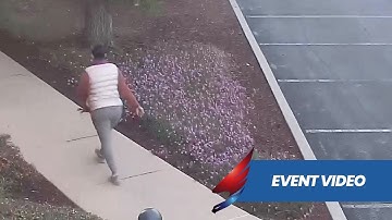 Remote Guard Removes Trespasser from Property