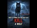 unity is power,but 100 sheep can't KILL a wolf #motivation #changeyourmindset