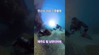 제주도 남방큰돌고래가 자주 나오는것으로 유명한 포인트 #제주도펀다이빙 #제주도스킨스쿠버 #제주도스쿠버다이빙 #제주도돌고래 #돌고래포인트 #제주도다이빙 #제주도체험다이빙 #제주도여행