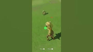 Legend Of Zelda BOTW stalkoblin abuse #legendofzelda #legendofzeldabreathofthewild #botw #bokoblin