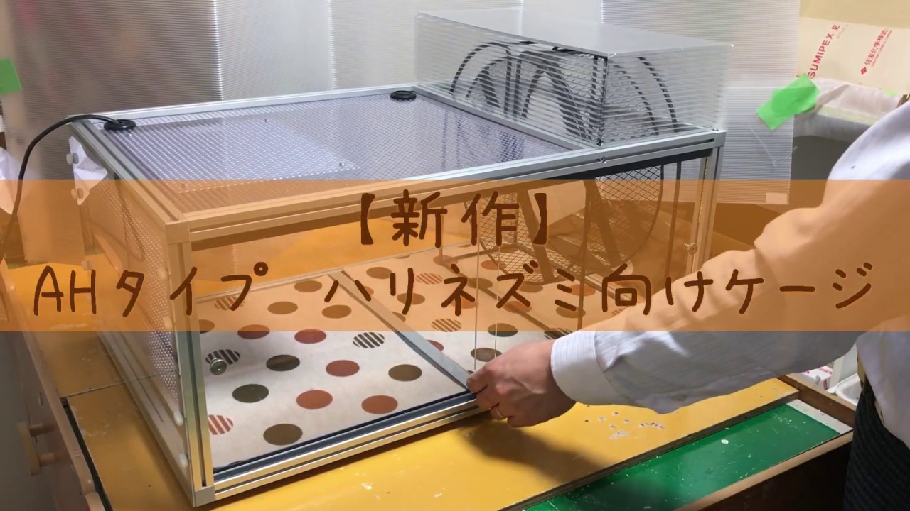 きなとのケージ屋さん　ケージ きなとのケージ屋さん】AHタイプ ハリネズミ向けケージ - YouTube