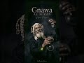 MIZAN Official Audio Moroccan Gnawa Trance Badboy Words Rap 