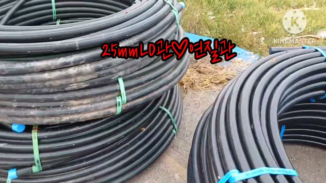 블루베리재배농장개원시 관수설비설치 전 반드시 알아야할 필수설비 중점사항~~~~~#블루베리묘목 #블루베리재배 #메도우락# 인디고크리스프 #피트모스