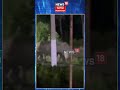 Numaligarh Wild Elephant। নুমলীগড়ত অব্যাহত আছে বন্যহস্তীৰ আতংক।N18V
