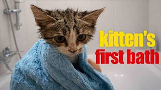 My Cat’s First Bath Experience | Unexpected & Cute #cutecats #kitten screenshot 3