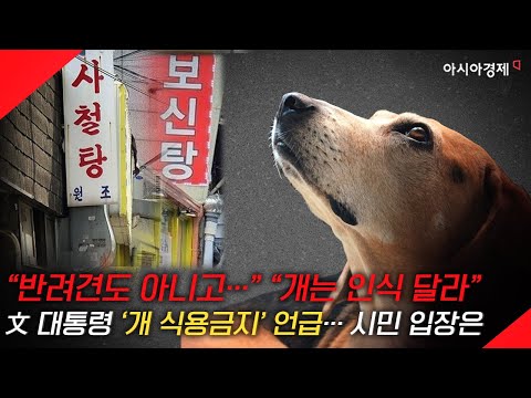 [현장영상] “반려견도 아니고…” “개는 다르죠”… 文 대통령 ‘개 식용 금지’ 언급에 나뉘는 시민 목소리