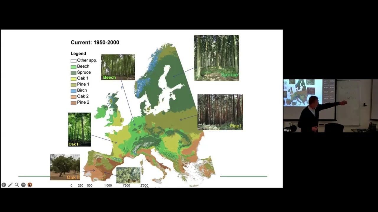 Impacts of climate change on forests