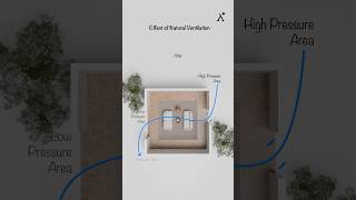 How plants help for better airflow?