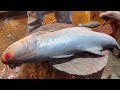 Big Indian Salmon Fish Cutting Skills | Fish Cutting Skills