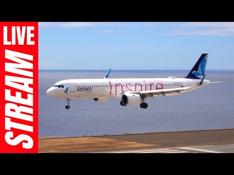 馃敶 Madeira Airport LIVE Plane Spotting