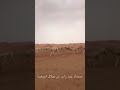 لا اوحت الصوت المغاتير