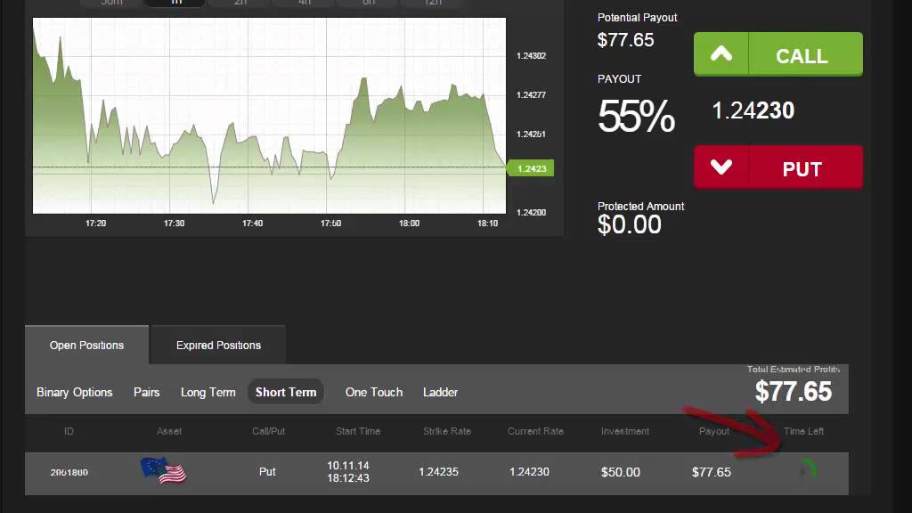 Making $77.50 in 30 seconds with Daily Binary Profits (DBPv7)